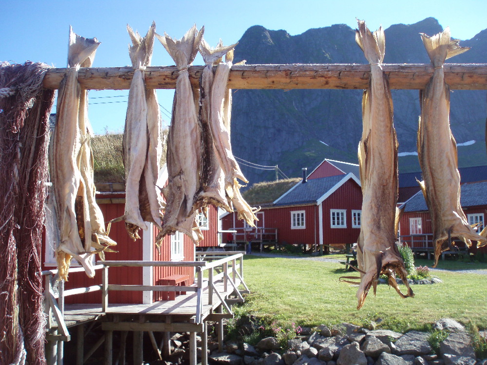 DSC02640.JPG